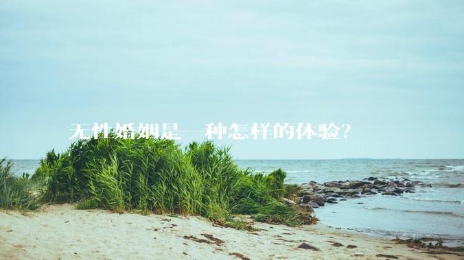 无性婚姻是一种怎样的体验？
