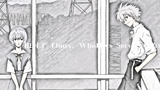 相对于 Linux，Windows Server 存在的意义是什么？