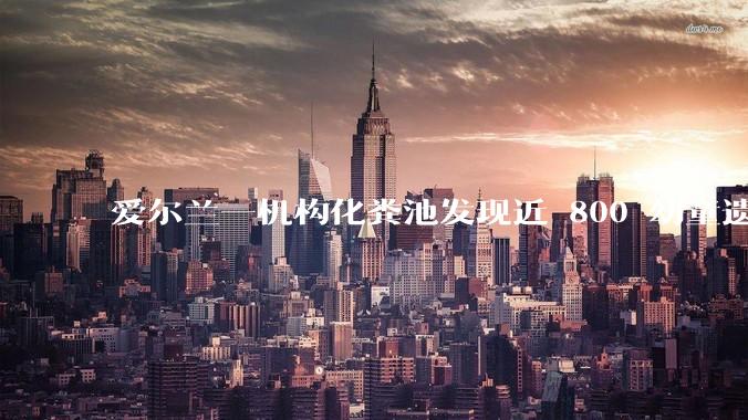 爱尔兰一机构化粪池发现近 800 幼童遗骨，具体是怎么回事？